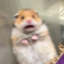 scared emoji