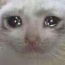 dcl_zzxSadCat emoji