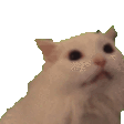 CatRawr emoji
