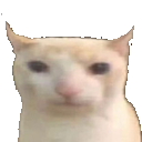 BruhCat emoji