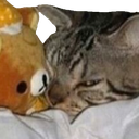 CatGlare emoji