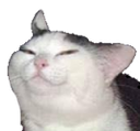 knifecat emoji
