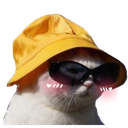 cathatblush emoji
