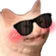 cattosunglass emoji