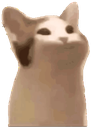 Popcat emoji