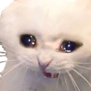CryCat emoji