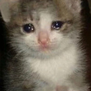 sad_cat_lol emoji