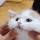 BeautifulcaT emoji