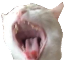 6534_cat emoji