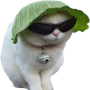 cool_cat emoji
