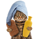 bathcat emoji