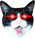 Lazercat emoji
