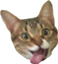 Excited_cat emoji