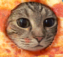 PizzaCat emoji