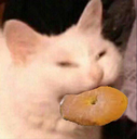 Bagelcat emoji