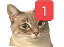 catping emoji