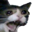 screaming_cat emoji