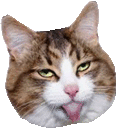 cattongue emoji