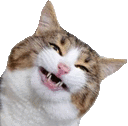 catsmile2 emoji