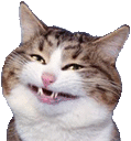 catsmile emoji