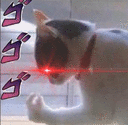 diocat emoji