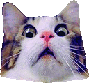Scared_Cat emoji