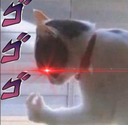diocat emoji