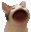 bopbopbopcat emoji
