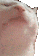 catJAM emoji