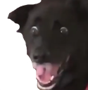 DogScared emoji