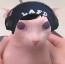Quackitty emoji