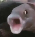 FishPoggers emoji