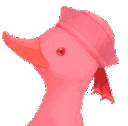 RainbowDuckParty emoji