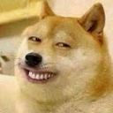 dogesmirk emoji