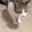catdies emoji