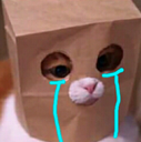 michiCry emoji