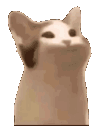 popcat emoji