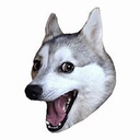 POGDOG2 emoji
