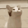 bigmouthcat emoji