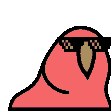 4282_congapartyparrot emoji