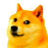 8806dogepartyvibrate emoji