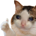 8637sadcatok emoji
