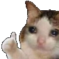 kittythumbsup emoji