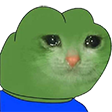 PepeCatcry2 emoji