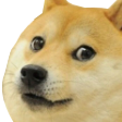 Doge emoji