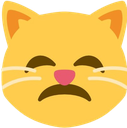 CatDisappointed emoji