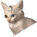 Cat emoji