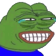 5276_pepelaugh emoji