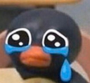 pingoo_crying emoji