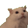 kittyrawr emoji